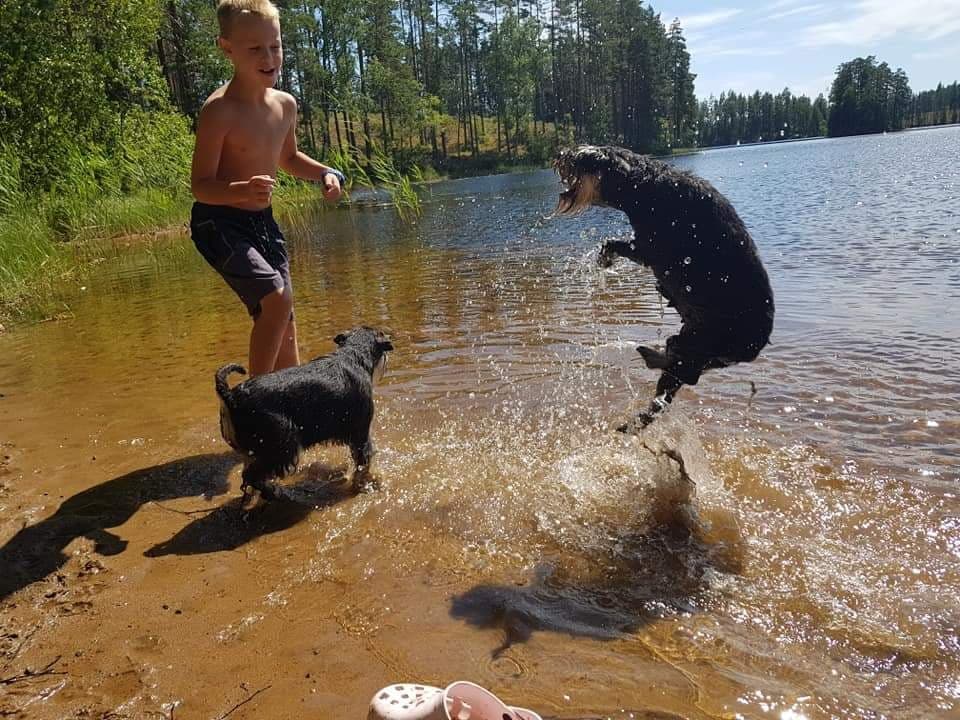 sommar och hopp